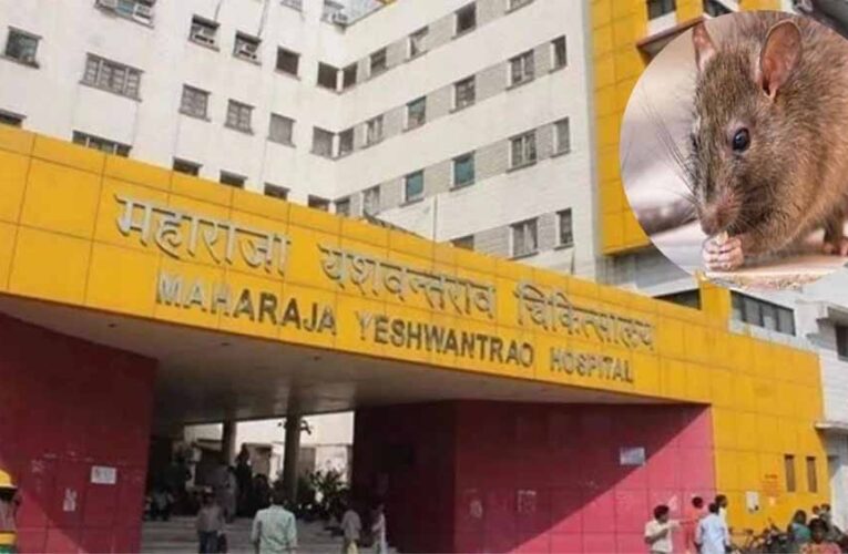 इंदौर MY अस्पताल में दो नवजातों पर चूहों का हमला, पहले भी हो चुकी ऐसी घटनाएं