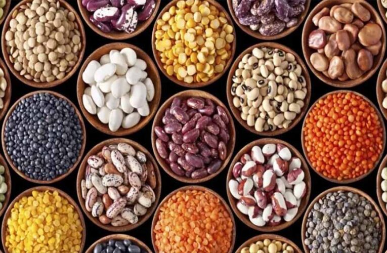 MP के तीन जिलों में खुलेगा Oil Seed Hub, किसानों को मिलेगा उन्नत बीज और तकनीक का लाभ