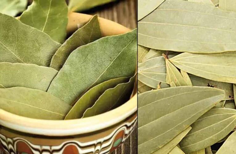 सुबह उठते ही पिएँ यह चाय, शुगर लेवल रहेगा कंट्रोल में