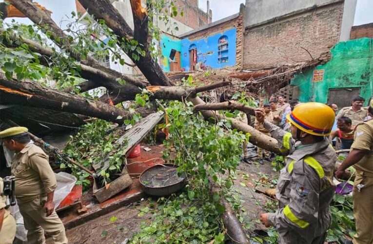 लखनऊ में बारिश का कहर: भारी पेड़ गिरा, 1 की मौत, कई घायल, डिप्टी सीएम现场 पहुंचे