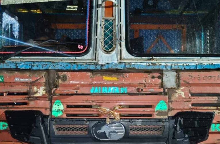 दुर्ग में तेज रफ्तार कंटेनर ने ली 8 गायों की जान, ड्राइवर मौके से भागा लेकिन हुआ गिरफ्तार