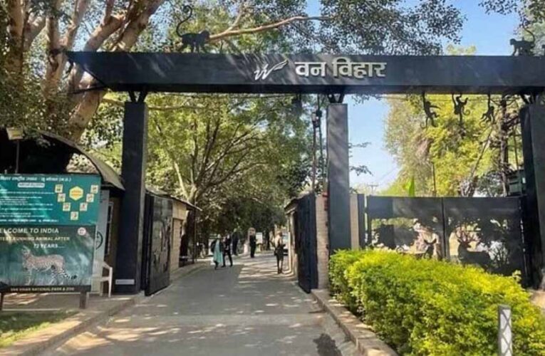 एक से सात अक्टूबर तक मनेगा वन्य-प्राणी सप्ताह