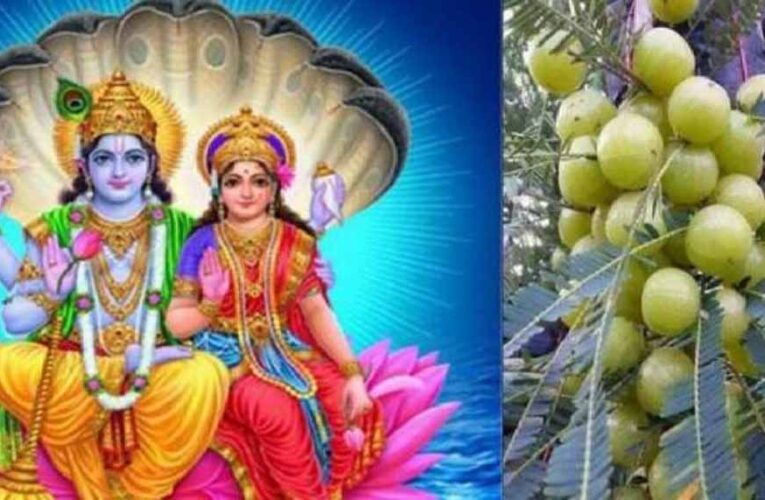 आंवला नवमी व्रत कथा: लक्ष्मी कृपा से मिलेगा धन, सुख और मोक्ष का वरदान