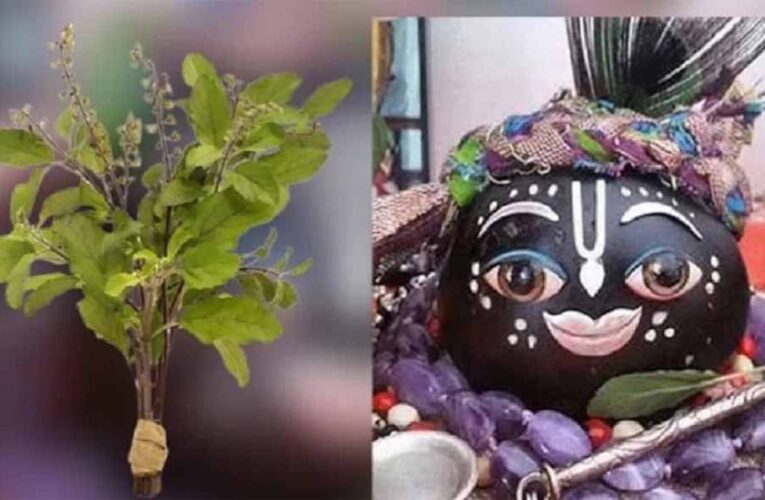 तुलसी के श्राप से शालिग्राम तक: जानें भगवान विष्णु के इस अद्भुत रूप की कथा