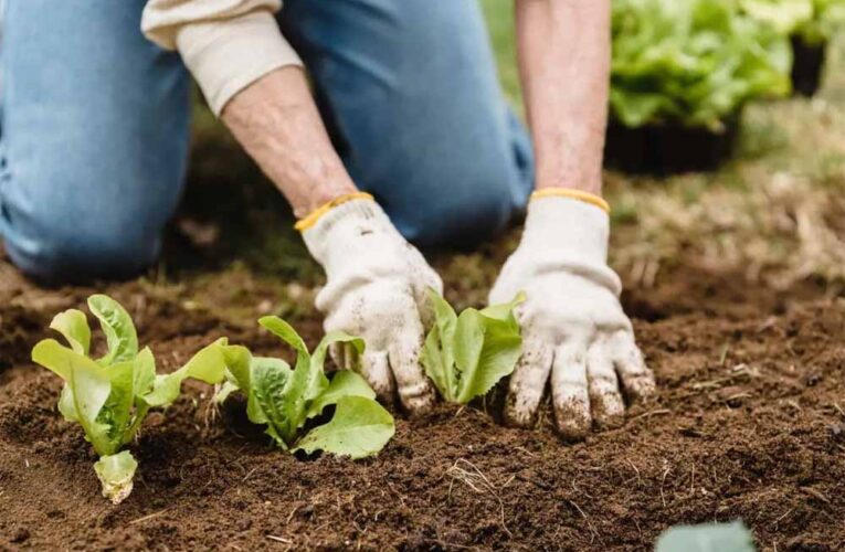 प्रकृति प्रेमी हैं तो इन क्षेत्रों में बना सकते हैं करियर…