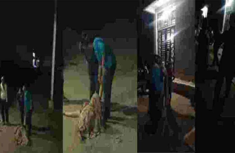 भाजपा नेत्री से मारपीट, आरोप: गुर्जर परिवार ब्राह्मणों को मंदिर जाने से रोकता है