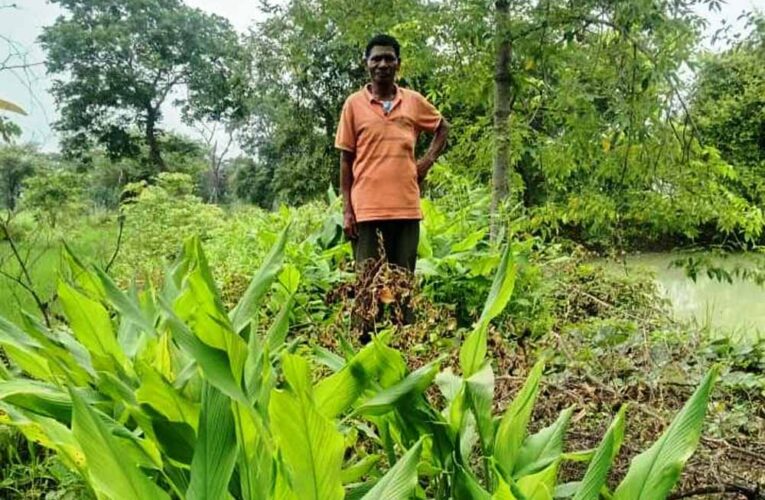 डबरी ने खोले समृद्धि के द्वार, दुलार सिंह का सपना हुआ साकार