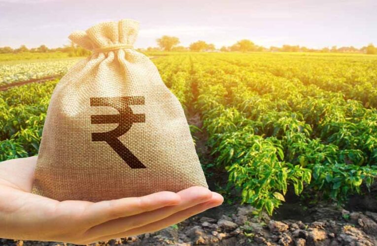 पीएम किसान योजना की 21वीं किस्त पर बड़ा अपडेट: क्या पति-पत्नी दोनों को मिलेगा फायदा?