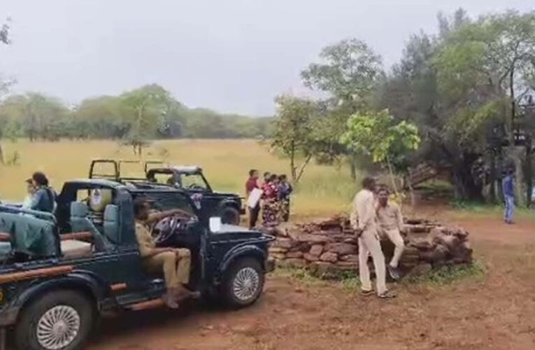 MP के पन्ना टाइगर रिजर्व के गेट 3 महीने बाद खुले, सफारी का रोमांच आज से शुरू