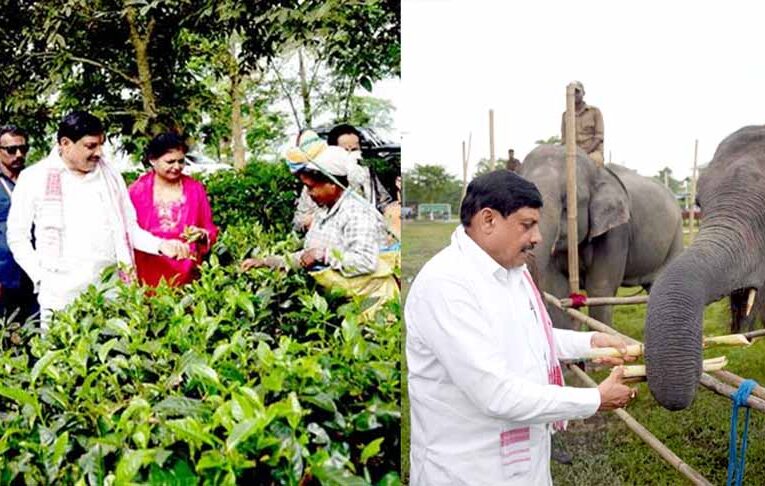 मध्यप्रदेश और असम के बीच वन्य जीव पर्यटन में साझेदारी के लिए होगी विशेष पहल : मुख्यमंत्री डॉ. यादव
