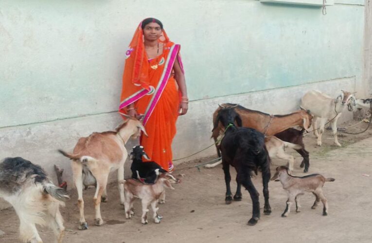 रायपुर : महतारी वंदन योजना से बदली ज़िंदगी श्यामा बनी आत्मनिर्भरता की पहचान