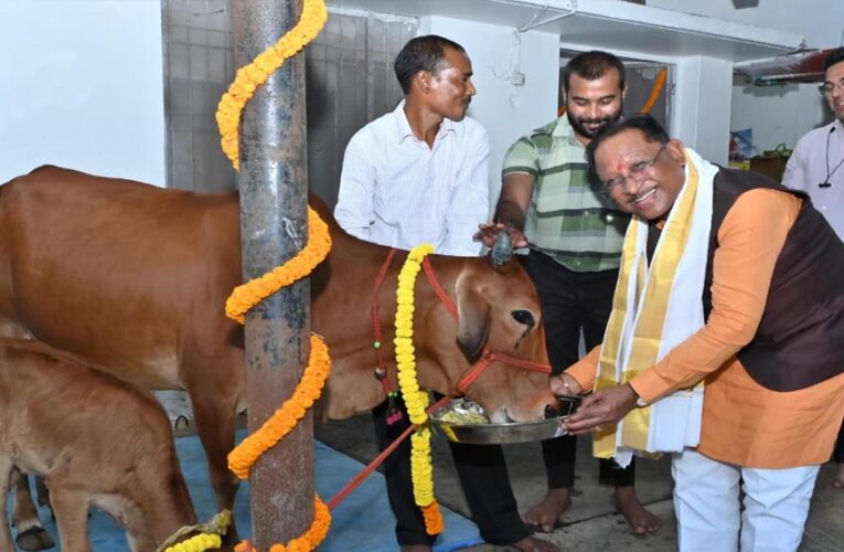 रायपुर : गोवर्धन पूजा के अवसर पर मुख्यमंत्री ने किया गौपूजन, प्रदेशवासियों की सुख-समृद्धि की कामना की