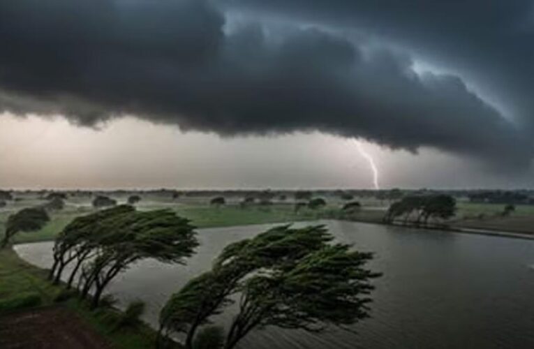 अरब सागर के लो प्रेशर का असर, मध्य प्रदेश के 12 जिलों में बारिश; मैहर में बिजली गिरने से 2 की मौत