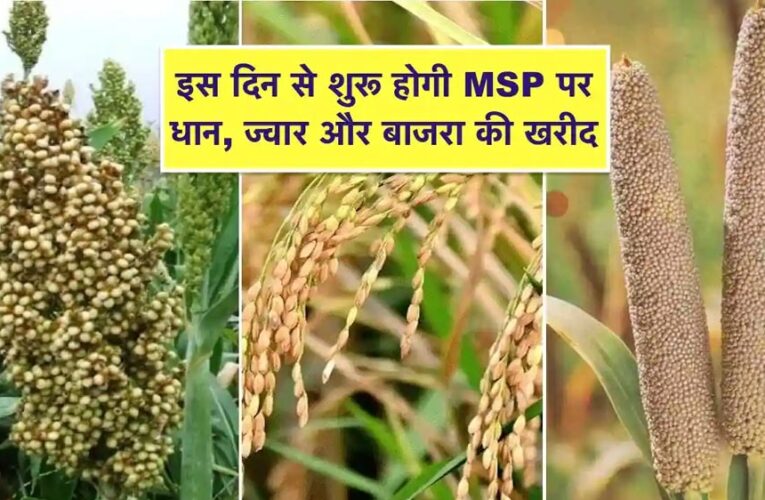 समर्थन मूल्य पर धान, ज्वार, बाजरा उपार्जन के लिए 8 लाख 53 हजार 911 किसानों ने कराया पंजीयन