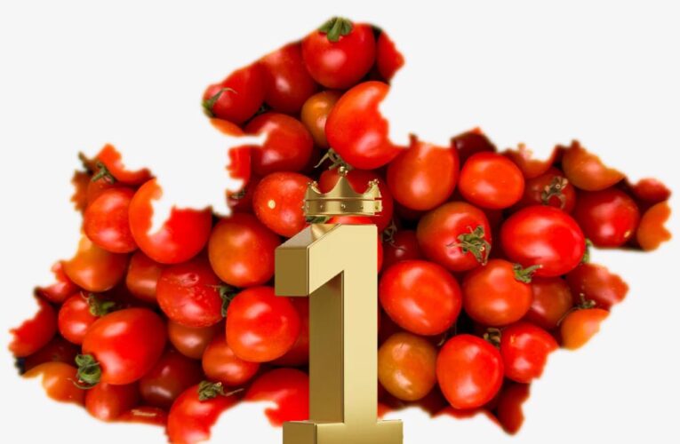 टमाटर उत्पादन में देश में नंबर-1 है मध्यप्रदेश