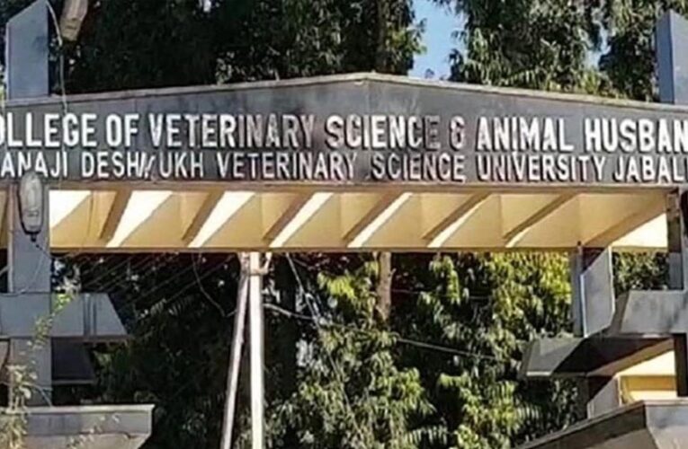 मध्य प्रदेश : चार काउंसलिंग राउंड के बाद भी वेटरनरी यूजी की सीटें खाली