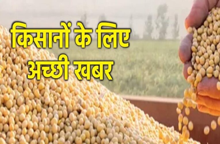 भावांतर योजनांतर्गत कृषि उपज मंडियों में हो रही है सोयाबीन की खरीदी