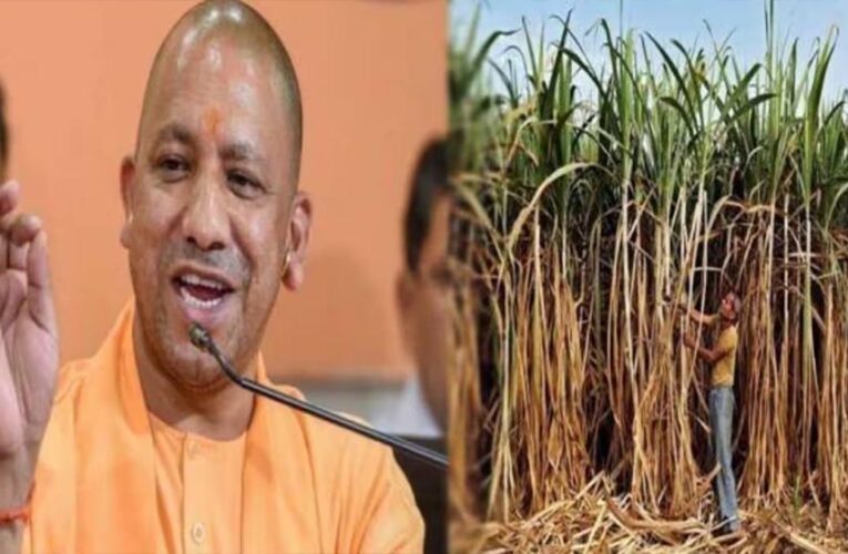 यूपी गन्ना किसानों के लिए खुशखबरी: दाम में ₹30 प्रति क्विंटल की बंपर बढ़ोतरी