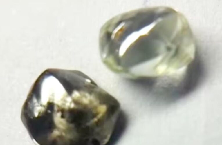 पन्ना टाइगर रिजर्व के गाइड को मिले दो चमचमाते हीरे, आगामी नीलामी में होंगे रखे