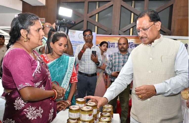 छत्तीसगढ़ की दीदियां बनीं आत्मनिर्भरता की ब्रांड एंबेसडर : लखपति दीदियों की सफलता हजारों महिलाओं के लिए बनेगी प्रेरणा – मुख्यमंत्री  साय