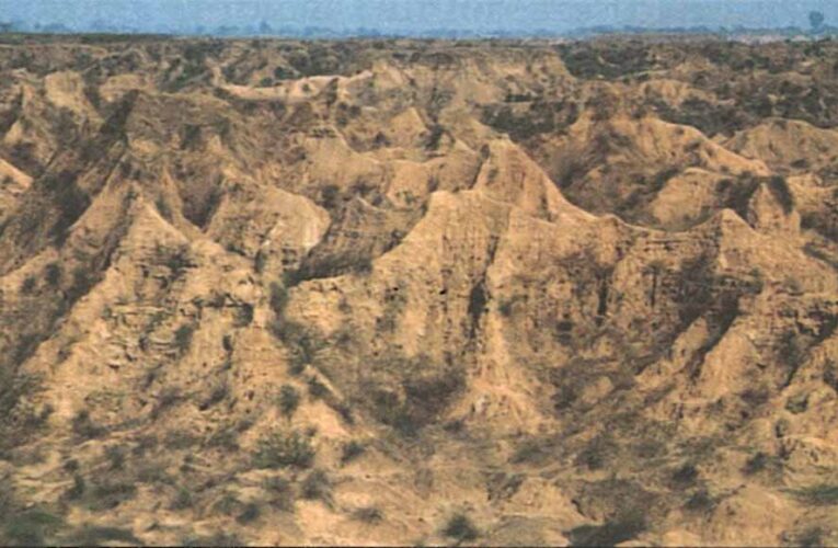 चंबल के बीहड़ में सोलर प्लांट: सरकार की बड़ी योजना से बदल जाएगी पहचान