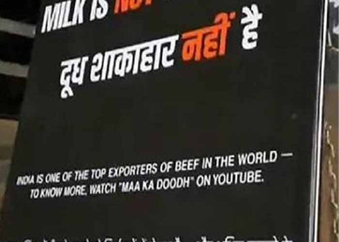 जबलपुर में दिवाली से पहले विवाद: ‘दूध शाकाहार नहीं’ पोस्टर लगाने वाले 3 युवक गिरफ्तार