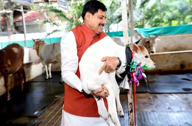 मध्यप्रदेश में दुग्ध उत्पादन से दोगुनी होगी पशुपालक किसानों की आय : मुख्यमंत्री डॉ. यादव