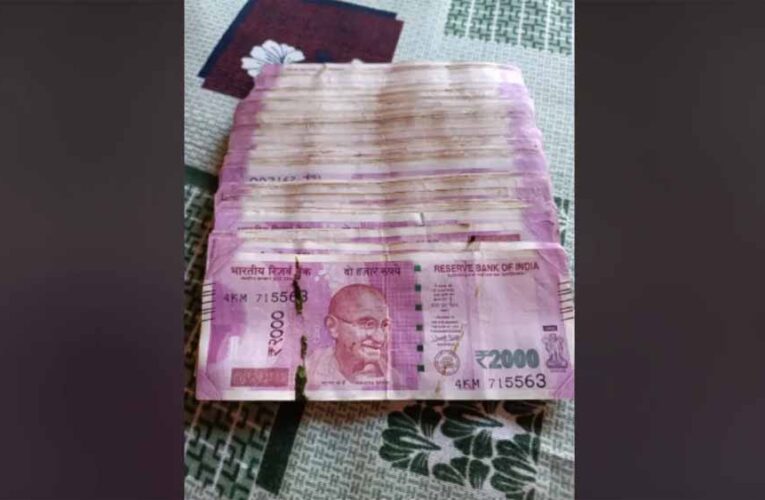 दीवाली की सफाई बनी किस्मत बदलने वाली! पुराने सेट-टॉप बॉक्स से निकली ₹2000 की गड्डियां