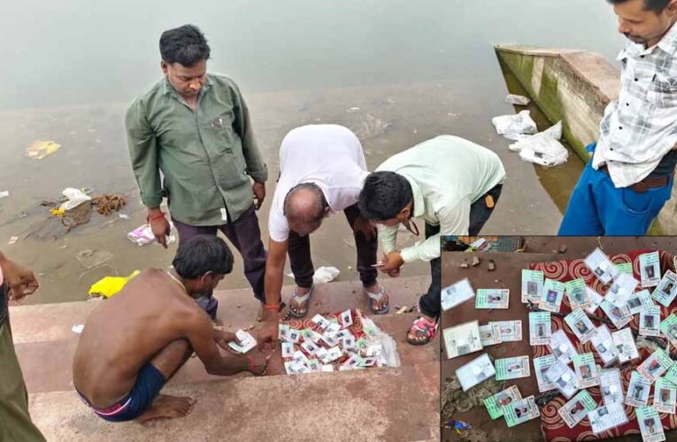 राजा तालाब में मिले सैकड़ों ओरिजनल वोटर आईडी कार्ड,बिजावर में मचा हड़कंप