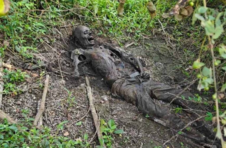झाड़ियों में मिला नर कंकाल, पुलिस ने शिनाख्त प्रक्रिया की तेज