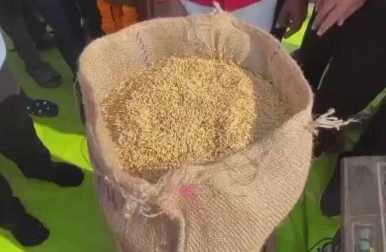 कवर्धा : धान उपार्जन 2025-26 : पहले दिन 306.8 क्विंटल खरीदी