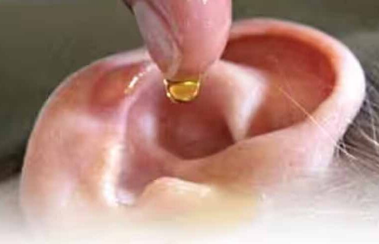 क्या बच्चों के कान में तेल डालना सुरक्षित है? सुनें एक्सपर्ट की राय