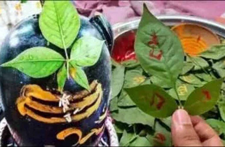 शिवलिंग पर ऐसे चढ़ाए बेलपत्र, खत्म होगी धन संबंधी दिक्कत