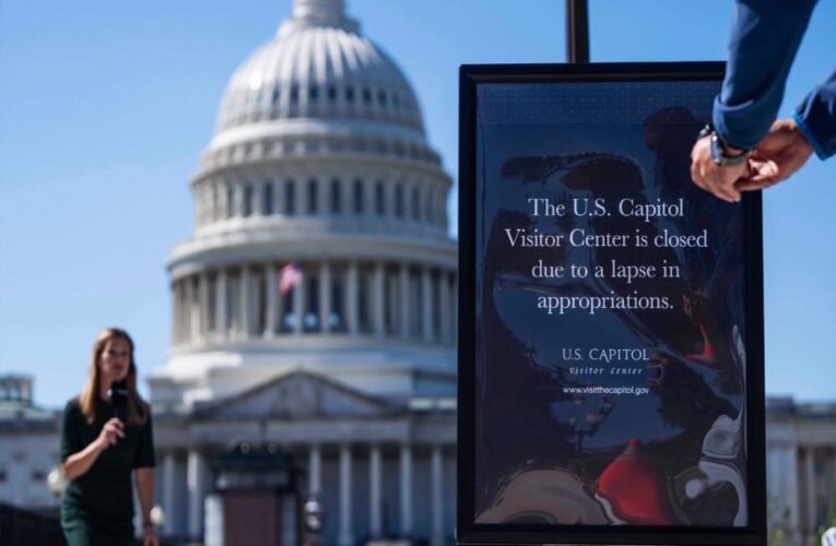 US शटडाउन का असर: 3300 उड़ानें रद्द, स्टाफ छुट्टी पर, यात्रियों में हाहाकार