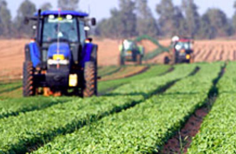 विशेष आर्टिकल- उत्तर प्रदेश में कृषि क्षेत्र का स्वर्णिम उत्थान: योगी सरकार की उपलब्धियां और किसानों की प्रेरक सफलता कहानियां