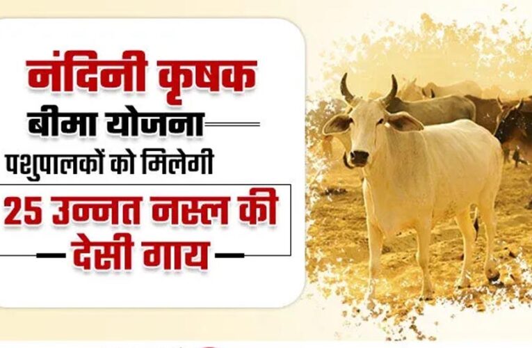 विशेष आर्टिकल- नंदिनी कृषक समृद्धि योजना: योगी सरकार का डेयरी सशक्तिकरण मॉडल – लाभों का विस्तृत विश्लेषण