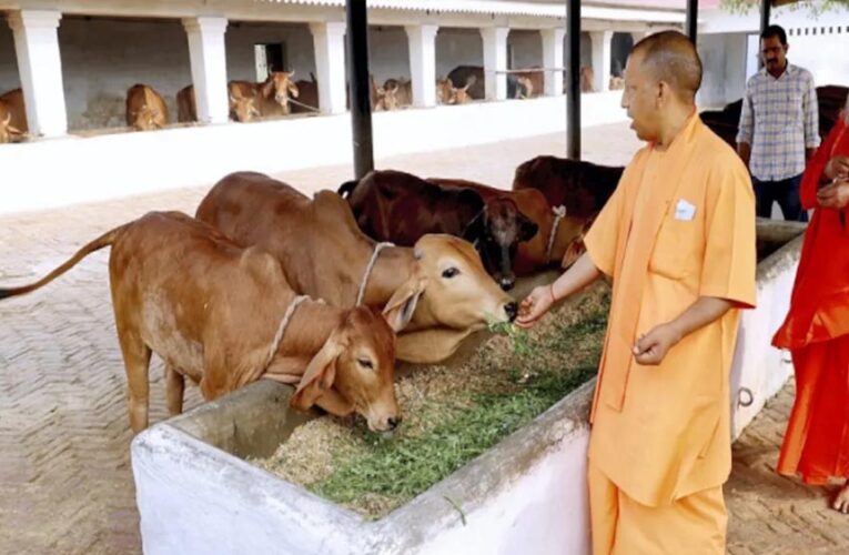 विशेष आर्टिकल- मुख्यमंत्री स्वदेशी गौ संवर्धन योजना: योगी सरकार का देसी गौ-पालन क्रांति – 80 हजार तक अनुदान से किसानों की आय दोगुनी