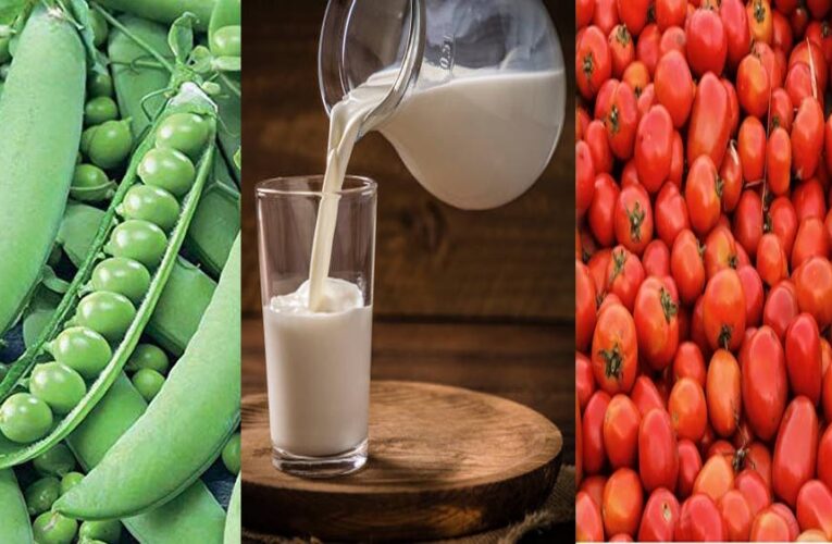 मध्य प्रदेश कृषि में अव्वल: टमाटर में पहला, मटर में दूसरा स्थान; दुग्ध उत्पादन 20% बढ़ाने का लक्ष्य