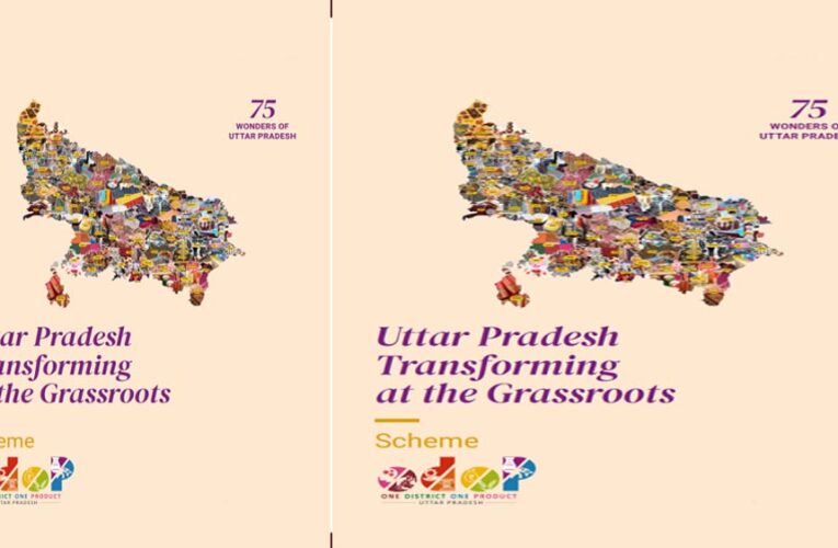 विशेष आर्टिकल: एक जिला एक उत्पाद (ODOP) योजना में वित्तीय सहायता से उद्यमियों के सपनों को लगे पंख