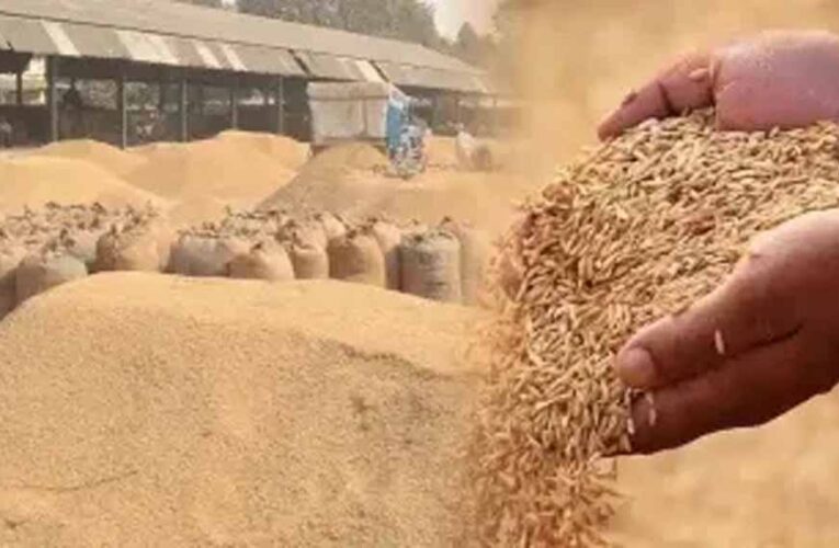 गौरेला पेंड्रा मरवाही : धान खरीदी के पहले दिन दो केंद्रों में आठ किसानों ने बेचा  506.80  क्विंटल धान