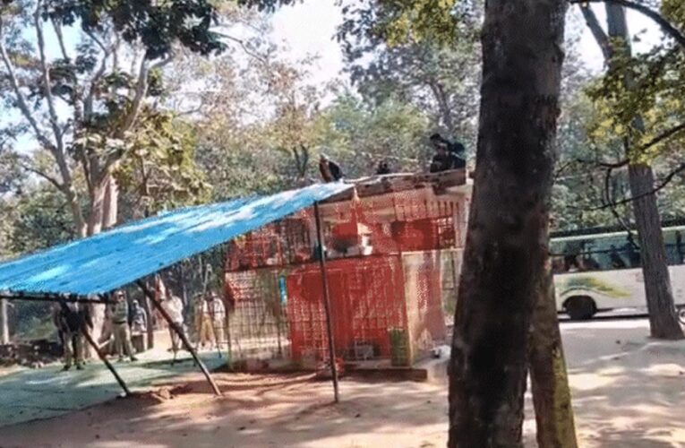 सिवनी में प्राचीन मंदिर के शेड को लेकर FIR, 16 वनकर्मियों पर कार्रवाई—अधिकारियों और हिंदू संगठन में बहस