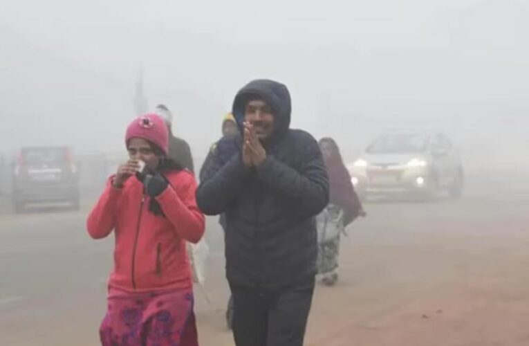 मध्य प्रदेश में घना कोहरा: शाजापुर में 100 मीटर से कम विजिबिलिटी, पारा 10°C से नीचे