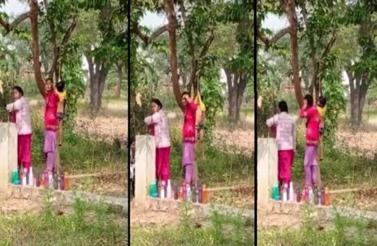 सूरजपुर: स्कूल में मासूम बच्चे को टी-शर्ट से पेड़ पर लटकाने का वीडियो वायरल, प्रशासन में खलबली