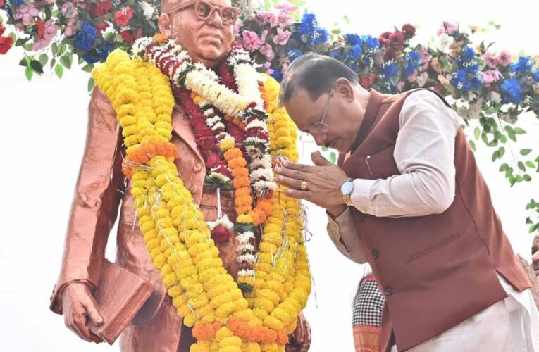 मुख्यमंत्री विष्णुदेव साय ने संविधान दिवस के अवसर पर डॉ. भीमराव अंबेडकर की प्रतिमा पर माल्यार्पण कर किया नमन