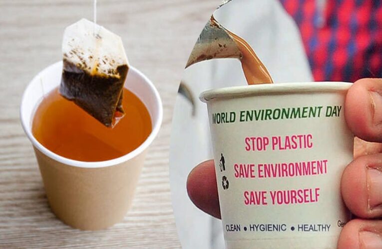 IIT खड़गपुर की रिसर्च: पेपर कप में चाय पीने से निकलते हैं 25 हजार माइक्रोप्लास्टिक कण, कैंसर का खतरा बढ़ा