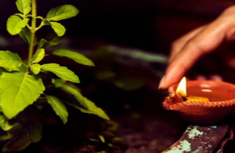 शाम को तुलसी के पास दीया जलाना क्यों माना जाता है शुभ? जानें फायदे