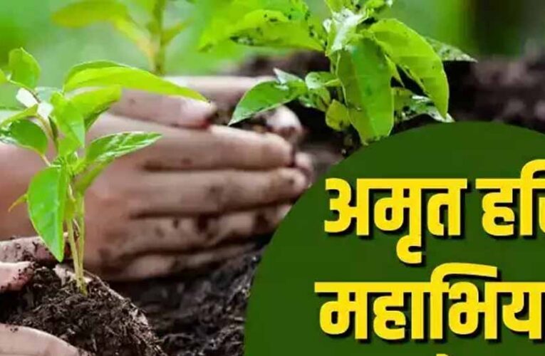 अमृत हरित महाअभियान के लिये संभागवार बैठकें, स्थानीय नर्सरियों को सुदृढ़ करने के निर्देश