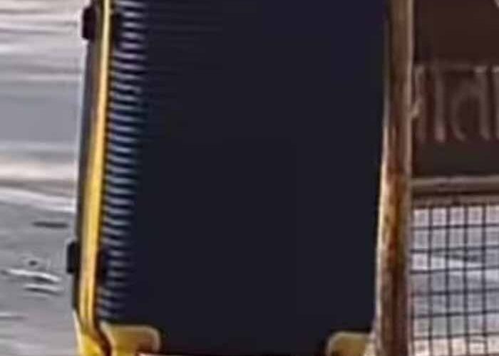 अयोध्या में मचा हड़कंप: हाई अलर्ट के बीच लावारिस बैग से फैली सनसनी, बम स्क्वॉड ने संभाली कमान