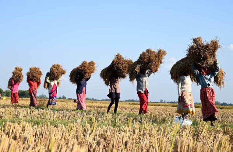 राजस्थान के किसानों को बड़ी राहत: सीएम भजनलाल ने 7.63 लाख किसानों के लिए राहत पैकेज को दी मंजूरी