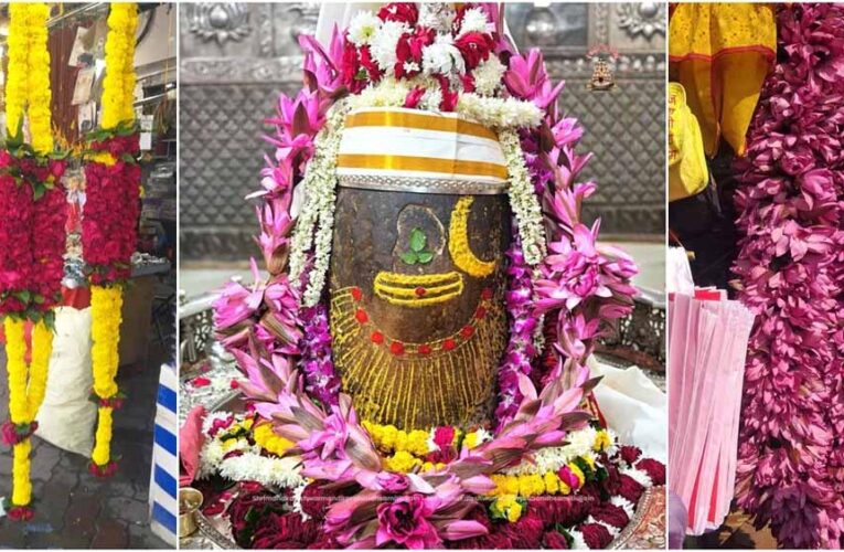 महाकाल की अद्भुत शृंगार लीला: 15 किलो की ‘अजगर माला’ से हुआ भव्य अभिषेक